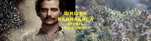 дурь Вяземский