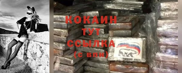 дурь Вяземский
