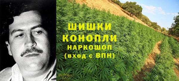 ECSTASY Вязники